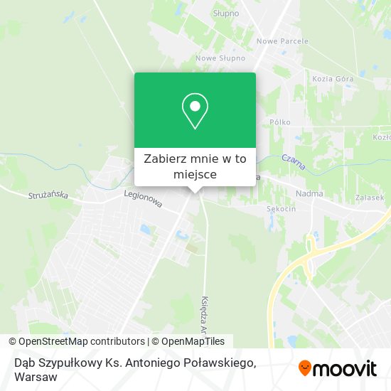 Mapa Dąb Szypułkowy Ks. Antoniego Poławskiego