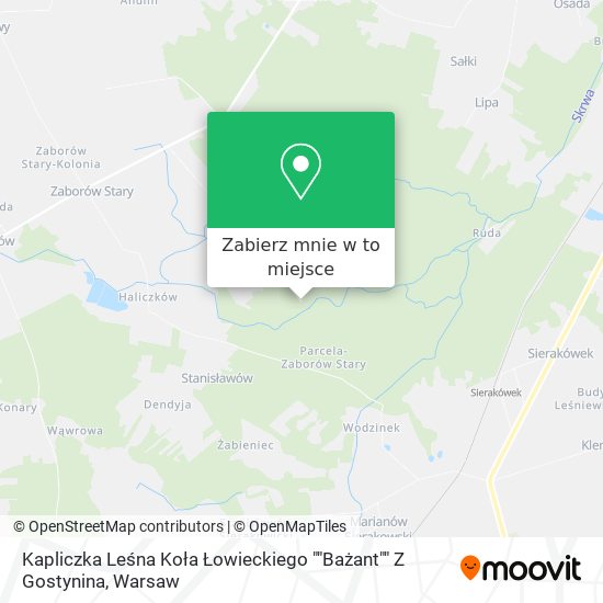 Mapa Kapliczka Leśna Koła Łowieckiego ""Bażant"" Z Gostynina