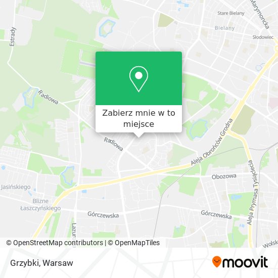 Mapa Grzybki