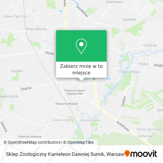 Mapa Sklep Zoologiczny Kameleon Dawniej Sumik