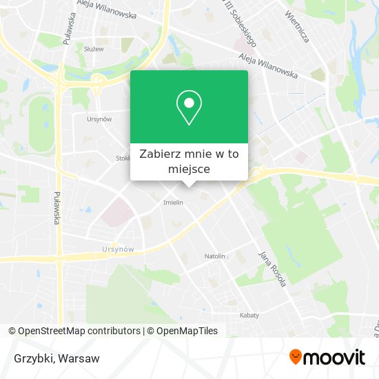 Mapa Grzybki