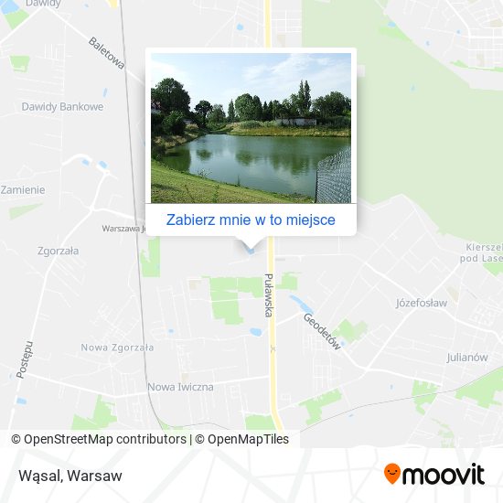 Mapa Wąsal