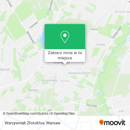 Mapa Warzywniak Złotokłos