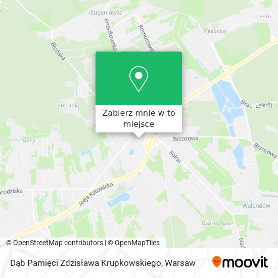 Mapa Dąb Pamięci Zdzisława Krupkowskiego