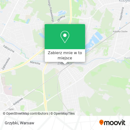 Mapa Grzybki