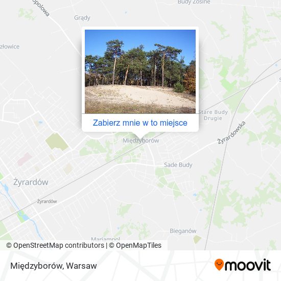 Mapa Międzyborów