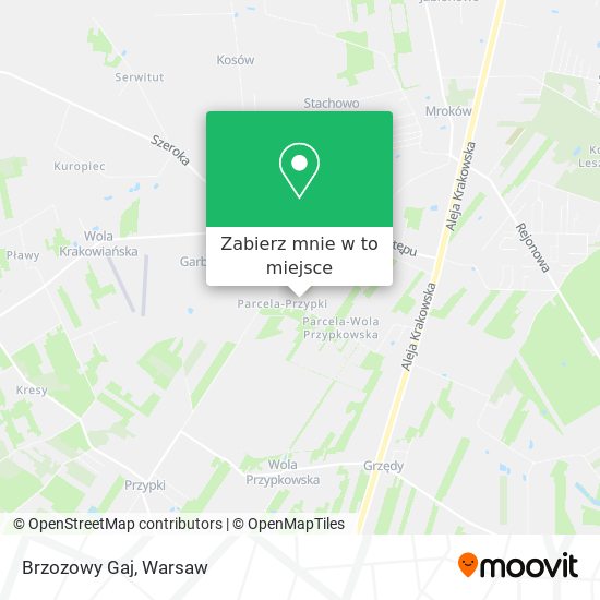 Mapa Brzozowy Gaj