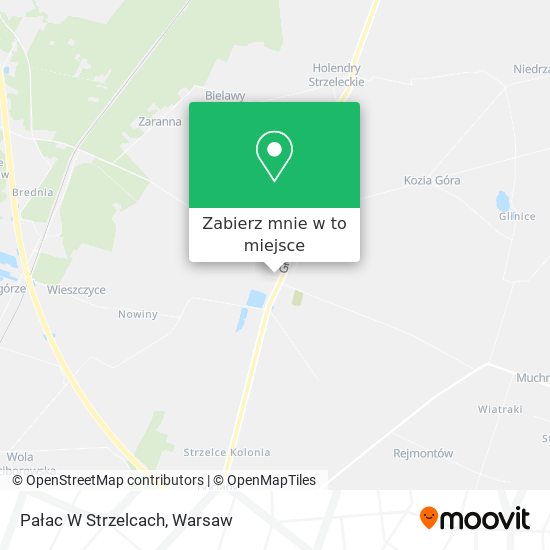 Mapa Pałac W Strzelcach