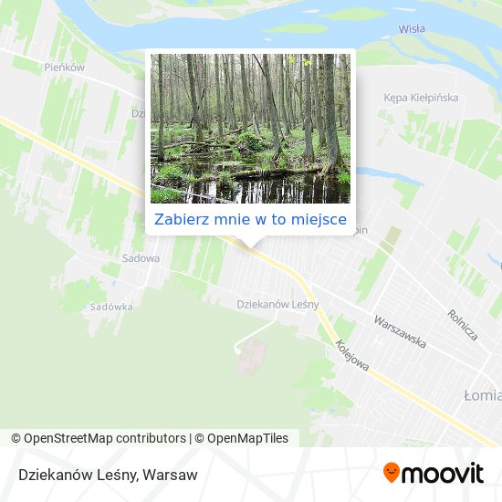 Mapa Dziekanów Leśny