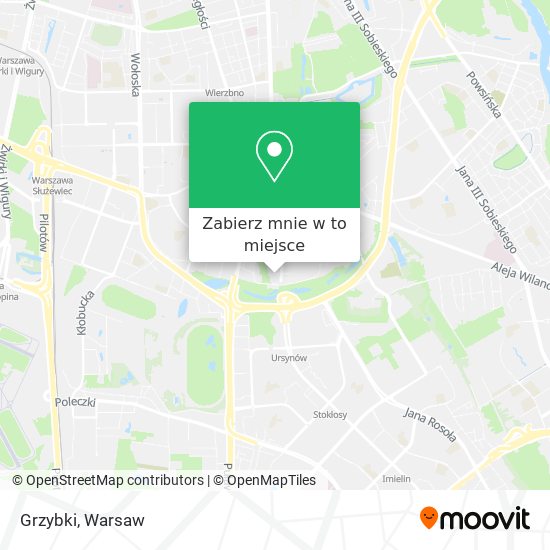 Mapa Grzybki