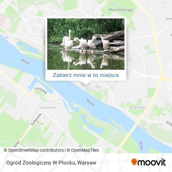 Mapa Ogród Zoologiczny W Płocku