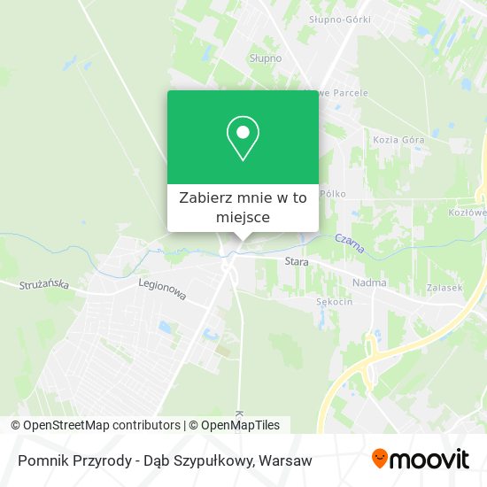 Mapa Pomnik Przyrody - Dąb Szypułkowy