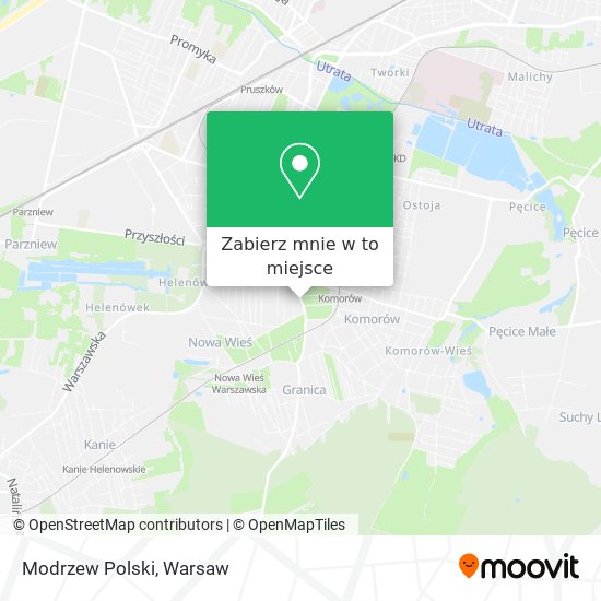 Mapa Modrzew Polski