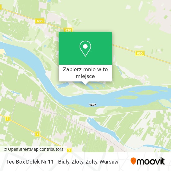 Mapa Tee Box Dołek Nr 11 - Biały, Złoty, Żółty