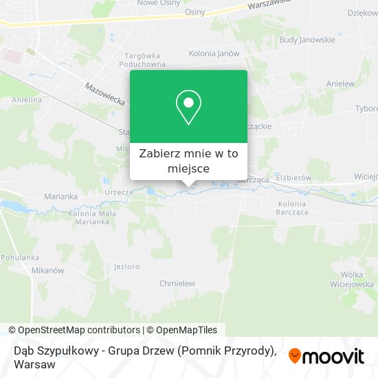 Mapa Dąb Szypułkowy - Grupa Drzew (Pomnik Przyrody)