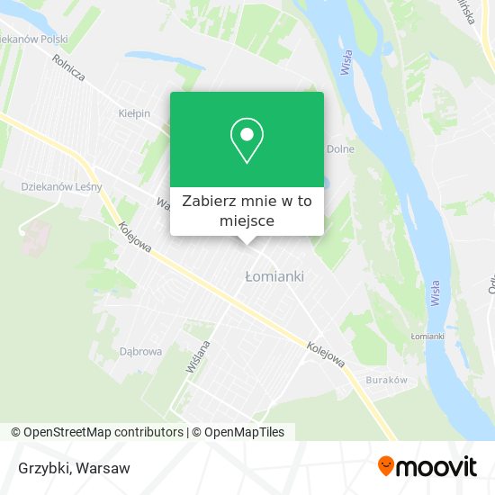 Mapa Grzybki