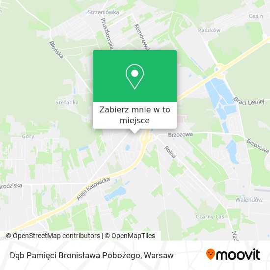 Mapa Dąb Pamięci Bronisława Pobożego