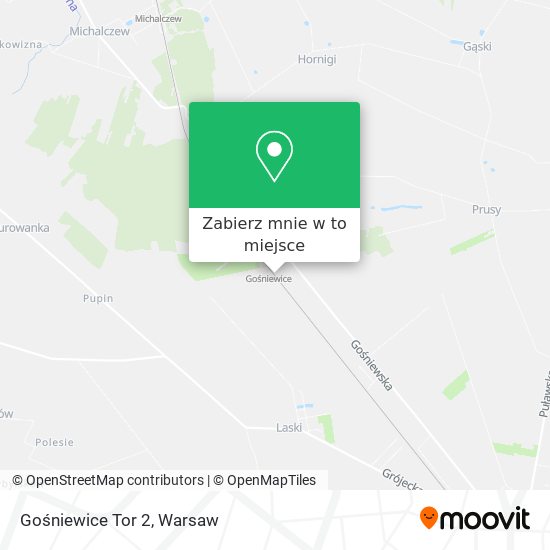 Mapa Gośniewice Tor 2