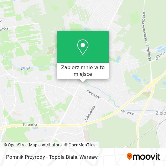 Mapa Pomnik Przyrody - Topola Biała