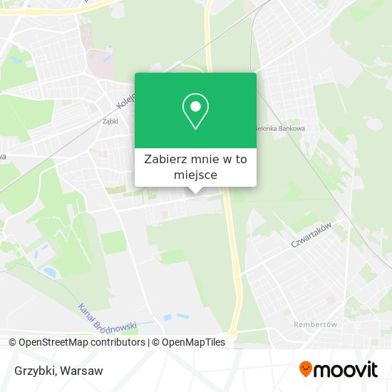 Mapa Grzybki