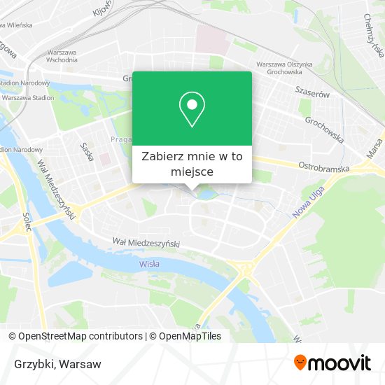 Mapa Grzybki