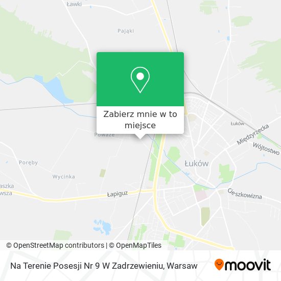 Mapa Na Terenie Posesji Nr 9 W Zadrzewieniu