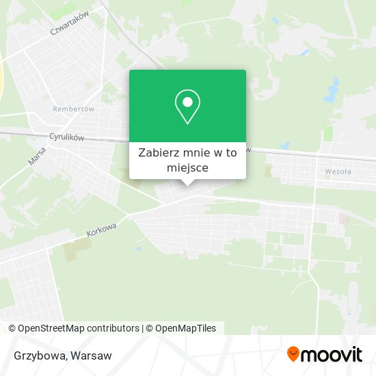 Mapa Grzybowa