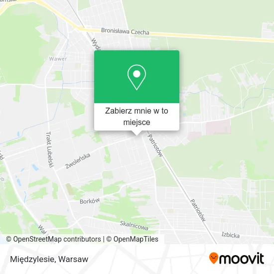 Mapa Międzylesie