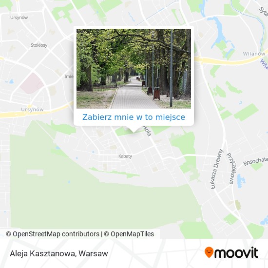 Mapa Aleja Kasztanowa