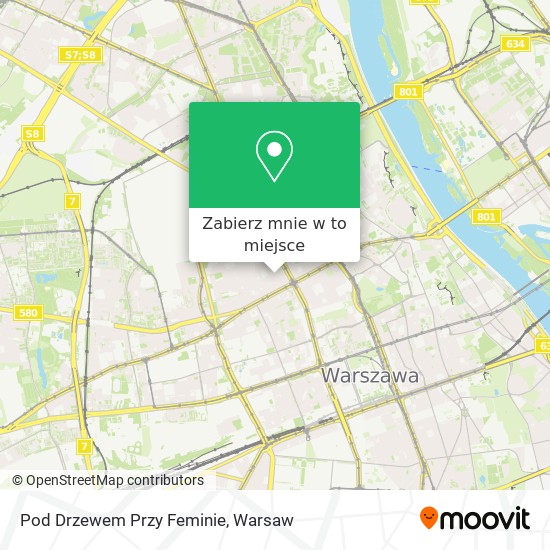 Mapa Pod Drzewem Przy Feminie