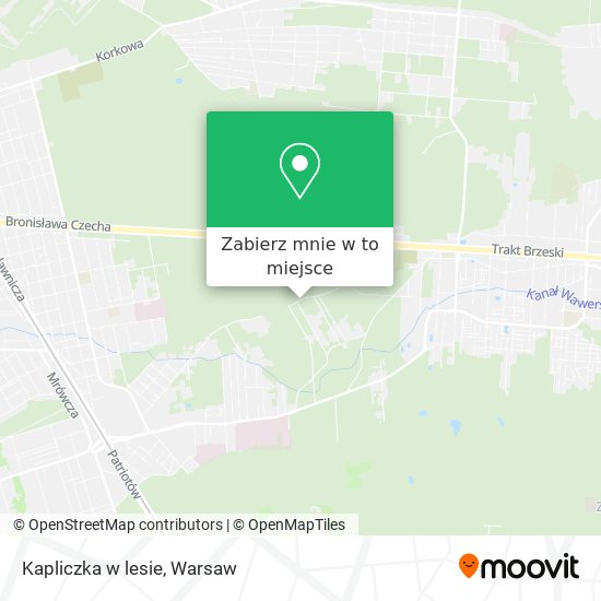 Mapa Kapliczka w lesie