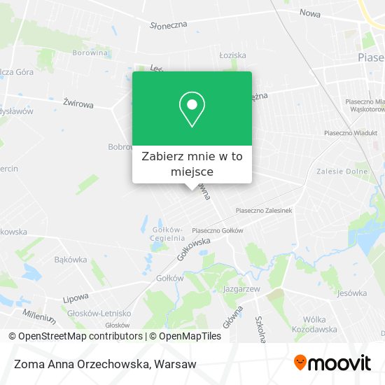 Mapa Zoma Anna Orzechowska