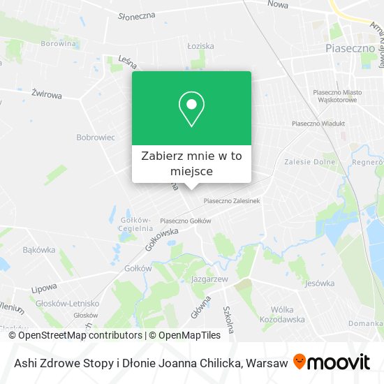 Mapa Ashi Zdrowe Stopy i Dłonie Joanna Chilicka