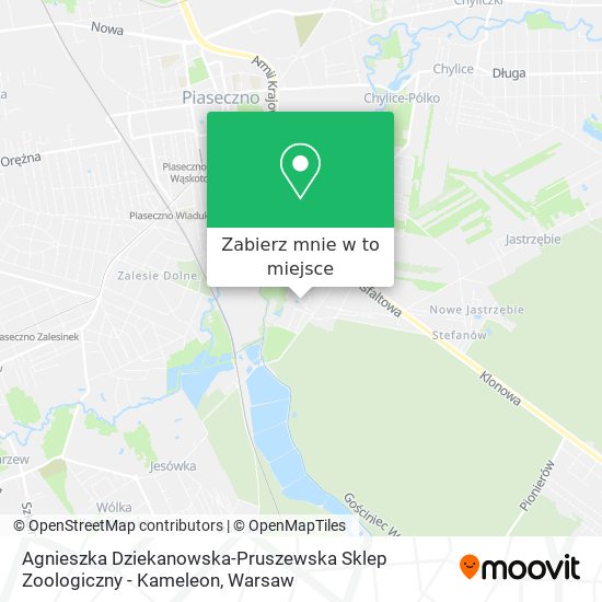 Mapa Agnieszka Dziekanowska-Pruszewska Sklep Zoologiczny - Kameleon