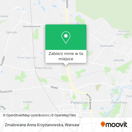 Mapa Zmalowana Anna Krzyżanowska