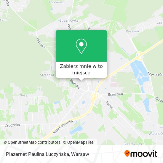 Mapa Plazernet Paulina Łuczyńska