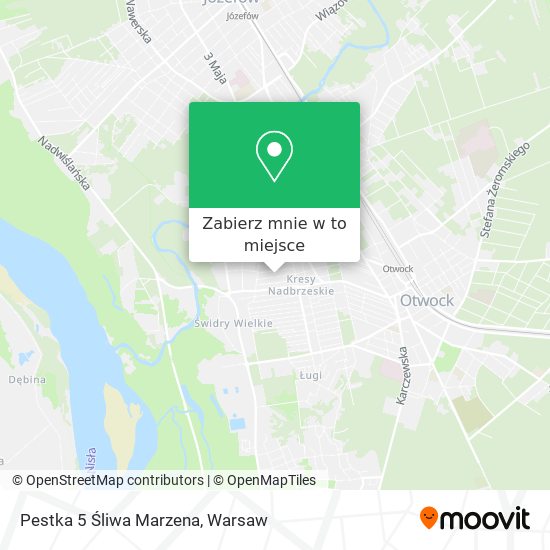 Mapa Pestka 5 Śliwa Marzena