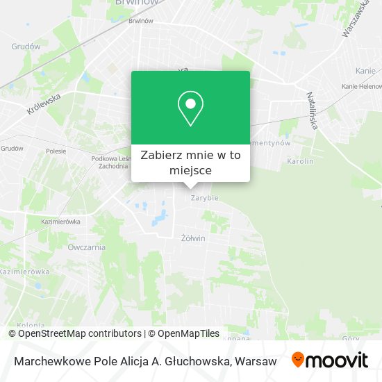 Mapa Marchewkowe Pole Alicja A. Głuchowska