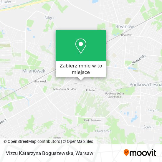 Mapa Vizzu Katarzyna Boguszewska