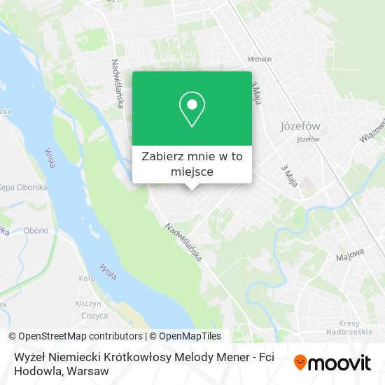 Mapa Wyżeł Niemiecki Krótkowłosy Melody Mener - Fci Hodowla