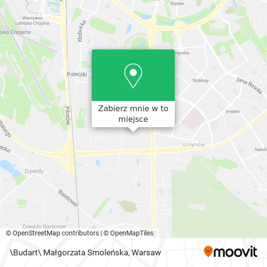 Mapa \Budart\ Małgorzata Smoleńska