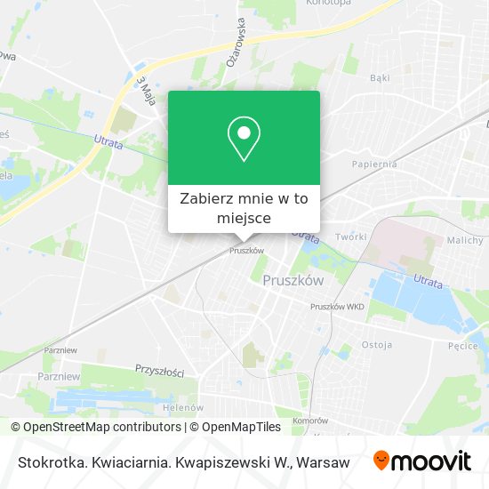 Mapa Stokrotka. Kwiaciarnia. Kwapiszewski W.