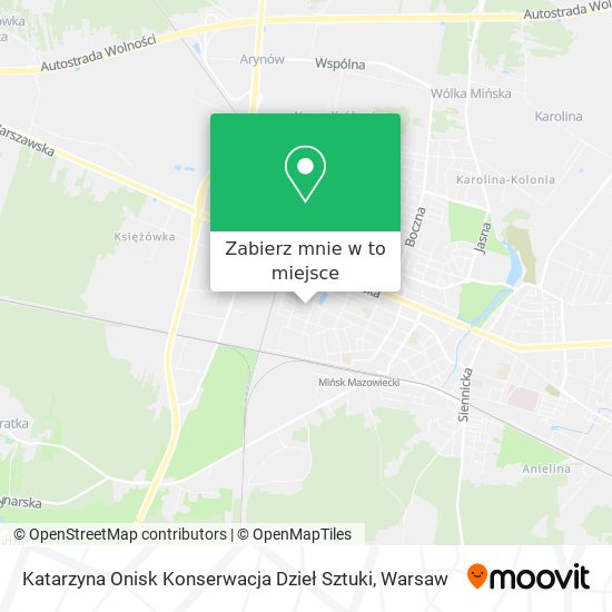 Mapa Katarzyna Onisk Konserwacja Dzieł Sztuki