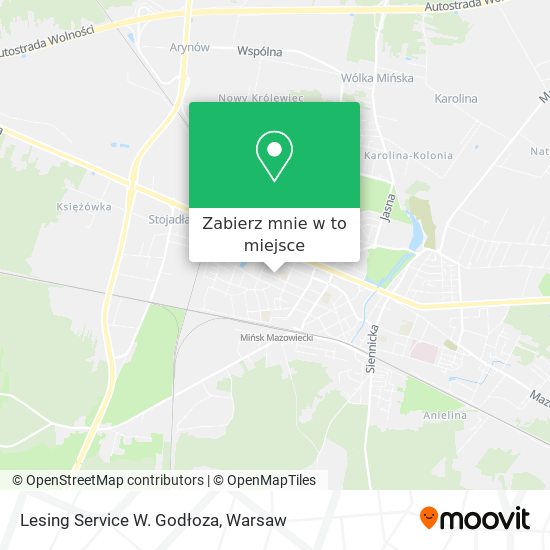 Mapa Lesing Service W. Godłoza