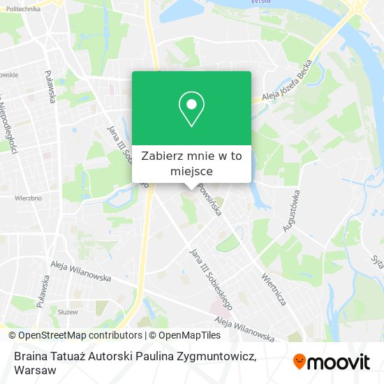 Mapa Braina Tatuaż Autorski Paulina Zygmuntowicz