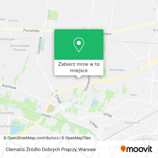 Mapa Clematis Źródło Dobrych Pnączy