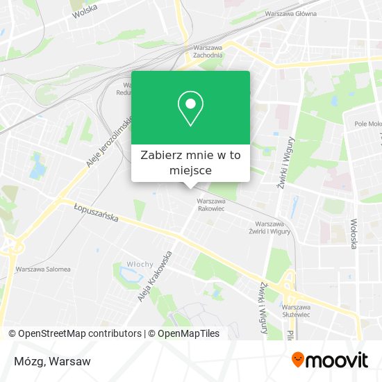 Mapa Mózg