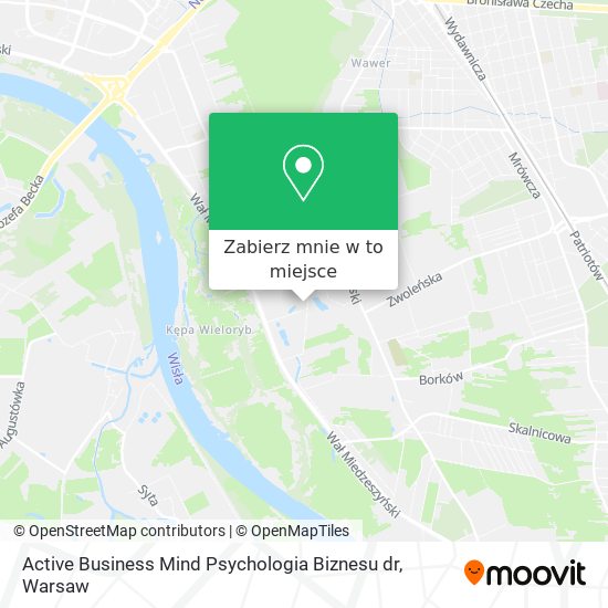 Mapa Active Business Mind Psychologia Biznesu dr