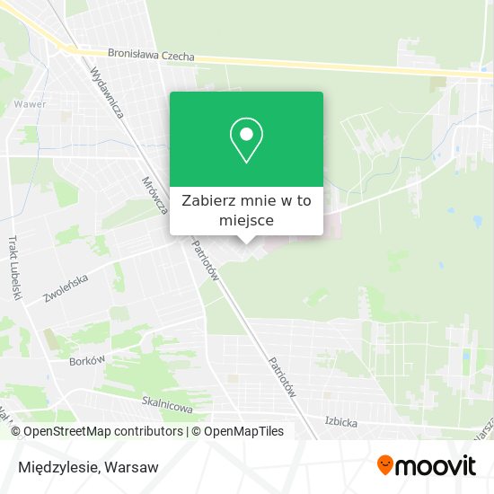 Mapa Międzylesie