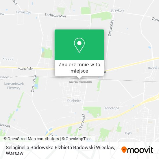 Mapa Selaginella Badowska Elżbieta Badowski Wiesław